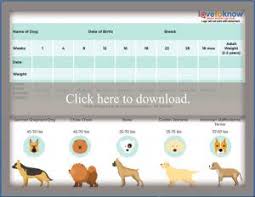 Printable Puppy Weight Charts Lovetoknow