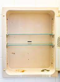 How To Paint A Rusty Medicine Cabinet The Handyman S Daughter