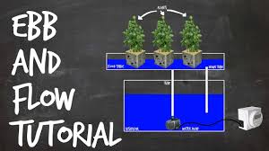 How To Set Up An Ebb And Flow Diy Hydroponics System Flood And Drain Hydroponics Diy Hydroponics Hydroponics System