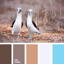 Turning off all three components results in a. Color Palette 187 Color Palette Ideas