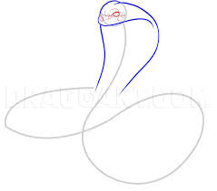 The subject of this lesson is how to draw snake cobra. How To Draw A King Cobra Step By Step Drawing Guide By Dawn Dragoart Com Guided Drawing Draw King Cobra