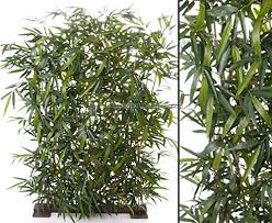 Coupons.com mobile app coupons.com mobile app. Zaune Sichtschutz Von Kunstpflanzen Discount Com Und Andere Gartenausstattung Fur Garten Balkon Online Kaufen Bei Mobel Garten