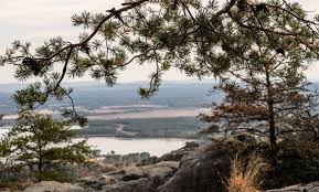 This is what we found at cherokee rock village in leesburg, al and it was all so beautiful! Experience Alabama S Great Outdoors At Cherokee Rock Village Milesgeek