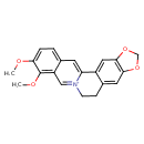 Image result for Pseudoeriosema borianii