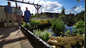 Der garten befindet sich in burg bei magdeburg direkt am kanal. Gartenteich Anlegen Wie Geht Das Ndr De Ratgeber Garten