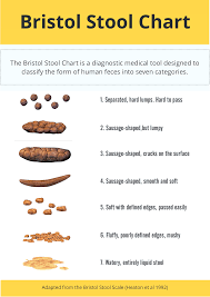 what's your paleo poop telling you