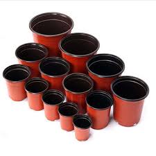 Maybe you would like to learn more about one of these? 6 Inch Plastic Plant Pots Wilson Garden