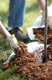 9 Steps To Mulching Like A Pro Gardener How To Mulch Mulching Garden Mulch
