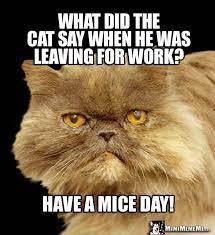 Cat Riddle What Did The Cat Say When He Was Leaving For Work Have A Mice Day Cat Jokes Funny Cat Jokes Funny Cat Memes