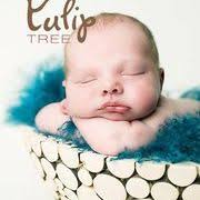 Amanda Soderberg (asoderberg)