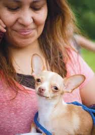 HGTV's Alison Victoria