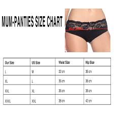 Panmanni Womens Underwear Soft Cotton Berief Plus Size