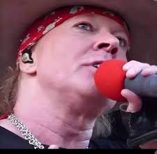 Profile for Axl rose fan chat
