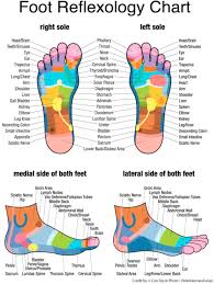 In most cases outside of the foot pain responds well to treatment. Reflexology And Cancer Sciencedirect