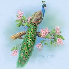 Peacock Penny Parker Peacock Art Peacock Painting