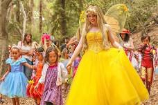 A Faery Hunt Astonishing Adventure