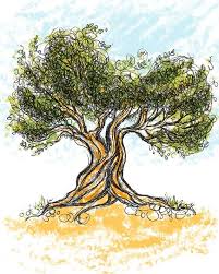 Olive Tree Art Print 8 X 10 Illustration Ink Drawing Mediterranean Art Tree Art Olive Tree Tattoos Tree Drawing