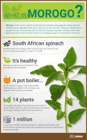What Is Morogo Morogo Is The Name Used In South Africa S Sesotho Language For Many Species African Herbs Plant Based Meal Planning Green Leafy Vegetable