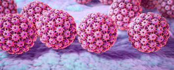Hpv, or human papillomavirus, is a common virus that can lead to 6 types of cancers later in life. Hpv Viren Hautarzt Munchen Dermatologie Am Dom Dr Voigt