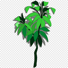 Gambar daun animasi hitam putih, animasi daun hijau, gambar bunga kartun, gambar daun kartun cantik, gambar daun vektor, gambar daun bunga sekitar kawasan sekolah gambar outline bunga pokok sumber bukudanbola.blogspot.com. Houseplant Leaf Tree Pot Bunga Cabang Singkong Daun Cabang Png Pngegg