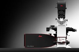 A composite number, its proper divisors being 1, 2, and 4. Stellaris Confocal Microscope Products Leica Microsystems