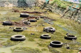 Die meisten patienten sind bereits zehn tage nach der gelbfieberimpfung immun. Gelbfieber Impfen Im 22 Bezirk In Wien