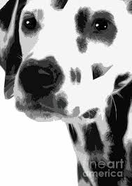 Dalmatian By Prar K Arts Art Auction Abstract Art Art
