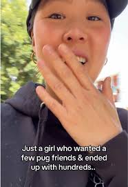 Pug Moms Club Monthly Meetup at Holmby Park