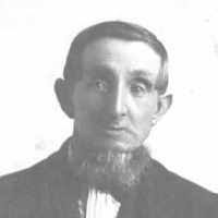 Heinrich Wilhelm Peters (1828–1905)