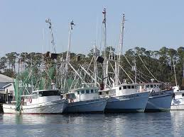 Shrimp Boat Fleet In Mobile Bay At Mobile Alabama Sweet