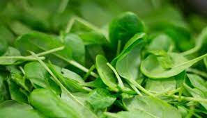 Check spelling or type a new query. 6 Jenis Makanan Beralkali Tinggi Yang Terbaik Makanan Beralkali Biovco Com