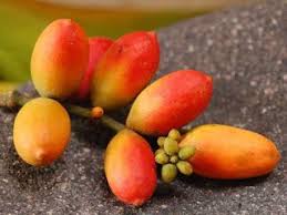 Fruit Names A Z With Pictures Fruit Names Starting With M Buah Nutrisi Gambar