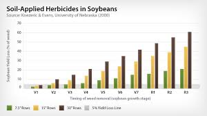 Authority Xl Herbicides Products Fmc Agricultural