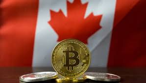 The coindesk bitcoin calculator converts bitcoin into any world currency using the bitcoin price index, including usd, gbp, eur, cny, jpy, and more. Canadian Cryptocurrency Etfs Are Showing Monster Trading Volumes