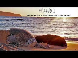 All Inclusive Hawaii Vacation Packages While their exact offerings will vary, you can usually. all inclusive hawaii vacation packages