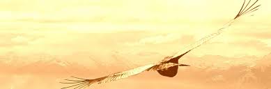 Die selbstverständlichkeit von innerem frieden, fröhlichkeit, gelassenheit nie. Konstruktiver Umgang Mit Blockaden