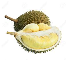 Durian fruit, monthong 310 thb (9.70 usd) durian monthong is the most important and famous durian variety of thailand. Durian Is Tropical Fruit From Indonesia Thailand Malaysia Stock Photo Picture And Royalty Free Image Image 135369489