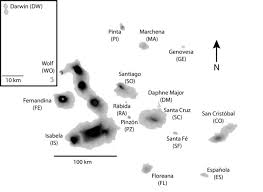 We did not find results for: Elevational Map Of The Galapagos Islands Elevation Ranges From Sea Download Scientific Diagram
