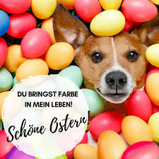Ostern ist nicht nur für die kirchen ein großes fest. 50 Schone Frohe Ostern Bilder Ostergrusse Kostenlos Cool Und Lustig