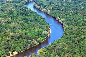 Muda, mura, and muri are japanese terms that refer to the three categories of waste found in a business. 100 Of Scientists In Support Of Free Flowing Mura River Save The Blue Heart Of Europe