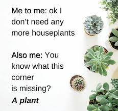 Lush Lol Worthy Plant Memes For Green Thumbs Plant Jokes Green Thumb Plants