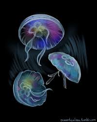 My Dear Gem Of The Ocean Jellyfish Tattoo Jellyfish Drawing Fish Drawings