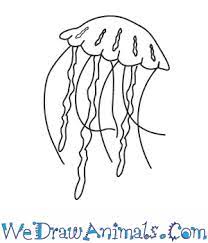 Draw a wavy line along the bottom. How To Draw A Jellyfish