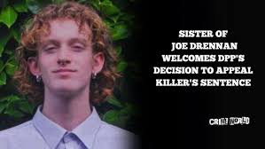 M50 chase woman Gemma Greene pleads guilty in court