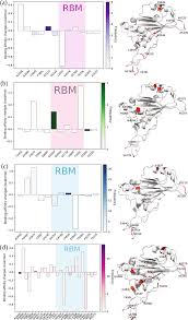 Furthermore, because bright binds dna as a dimer, two of the mutants formed complexes with wild type bright and acted in a dominant negative fashion. Analysis Of Sars Cov 2 Mutations In The United States Suggests Presence Of Four Substrains And Novel Variants Communications Biology