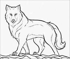 Anime coloring pages online at getdrawings free for. Wolf Coloring Pages Coloringbay