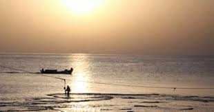 Pin On صور متحركة دائمة