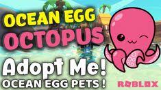 Codes for adopt me give an interesting twist to your gaming progress. 65 Adopt Me Info Ideas In 2021 Adoption My Roblox Roblox
