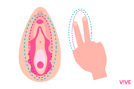 Dedos para masturbarse