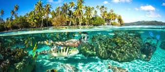 In 1891, paris is left by the painter paul gauguin and travels to tahiti to renew his art as a person, definately not the european conventionalism. Voyage Polynesie Francaise Tahiti Sejour Polynesie Francaise Tahiti Vacances Polynesie Francaise Tahiti Avec Easytahiti